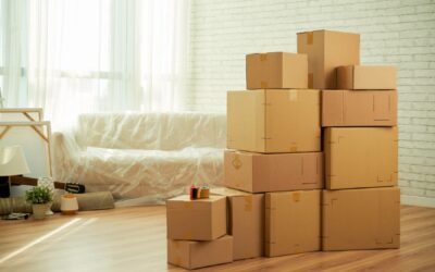 Used Boxes, New Opportunities: Leveraging Your Move with a Professional Organizer